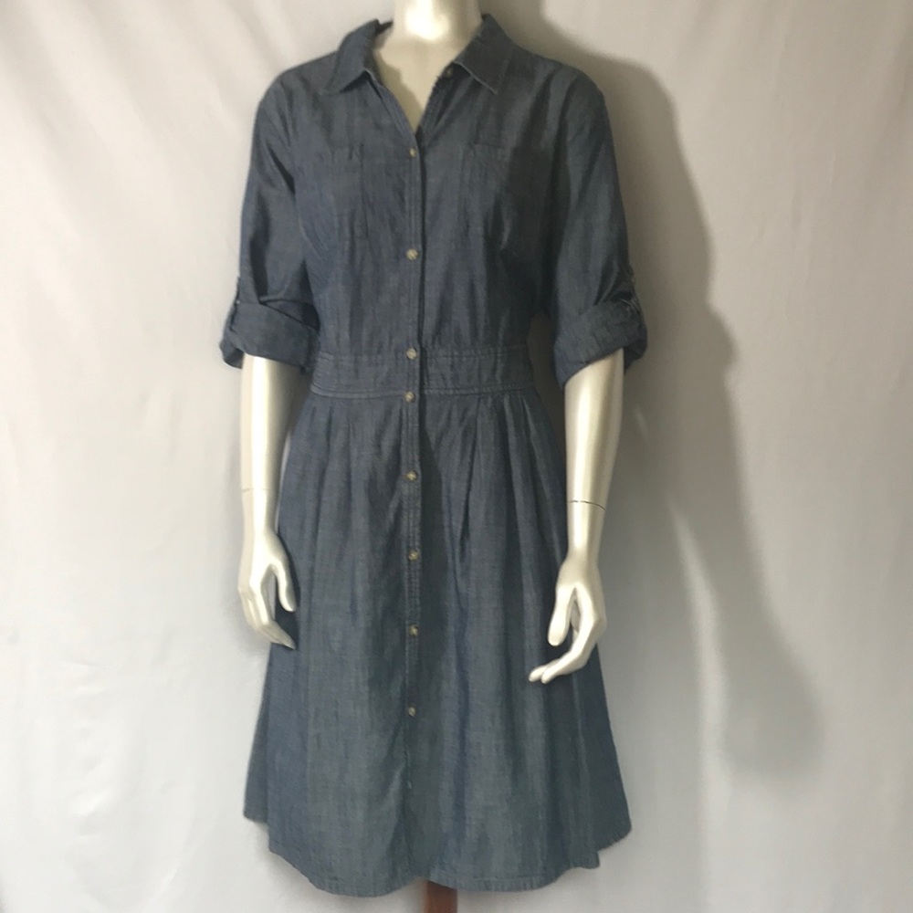 Adorable Denim Dress with Full Skirt and Pockets